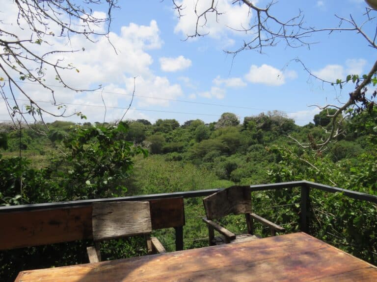 Rustic wooden table and chairs on a timber deck overlooking green countryside and trees