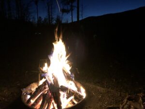 Crackling fire burning in an outdoor fire pit at night surrounded by dark trees