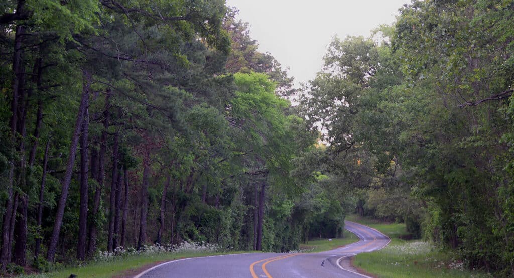 Quiet two-lane Texas farm-to-market road curving through green trees
