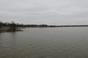 Calm waters of Lake Nocona in North Texas with a tree-lined shoreline